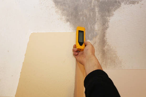 Biohazard Mold Removal in Marlton, NJ