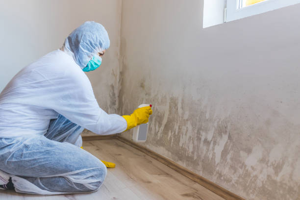 Best Airborne Mold Testing  in Marlton, NJ