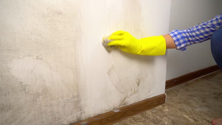 Best Industrial Mold Remediation  in Marlton, NJ